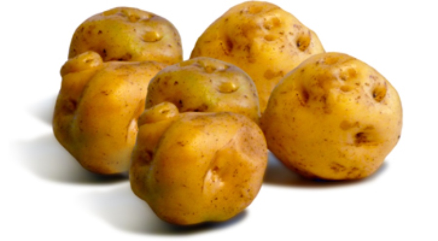 Amarilla-trimestre.jpg