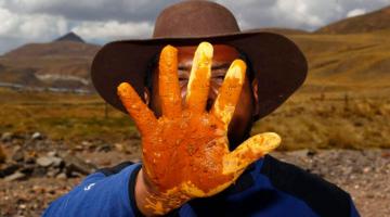 10 mil ganaderos son afectados por contaminación minera