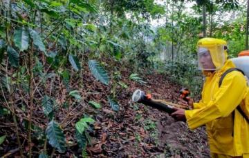 Acción Popular plantea prohibir el glifosato, el principal herbicida usado en el país