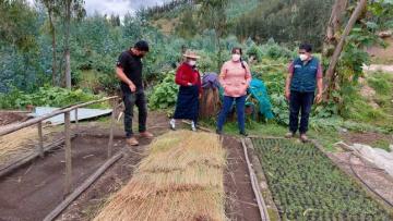 Agro Rural instalará 40 mil plantones de pino radiata en 20 hectáreas de La Libertad