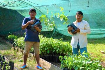 Agro Rural trabaja en recuperación de la quina con producción de 100.000 plántulas