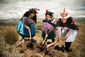 Agroideas cofinanciará Plan de Negocio a productores que donaron alcohol  antiséptico, elaborado a base de papa nativa en Huancavelica