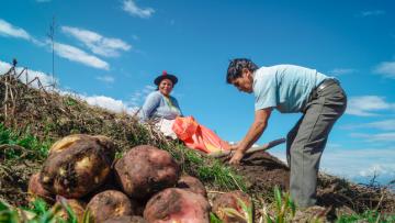 Agroideas potenció la producción de superalimentos con 145 planes de negocios en los últimos 10 años