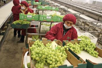 Agroindustria y minería atraerían inversión extranjera al Perú tras pandemia