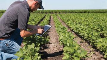 Agroindustriales captan profesionales de  sus zonas de operaciones para evitar la restricción en desplazamientos