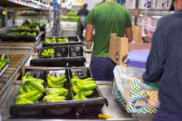 Alerta en la región ante posibles nuevas barreras sanitarias 'Covid-free' en el comercio internacional de alimentos