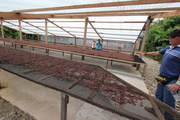 AMT Agroindustria recibe certificación en Buenas Prácticas de Manufactura en poscosecha de cacao