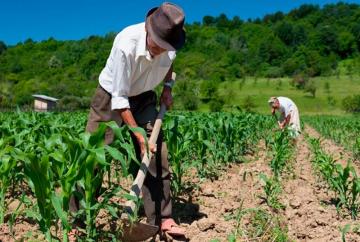 Aprueban contrato de Fideicomiso de Administración del FAE-Agro