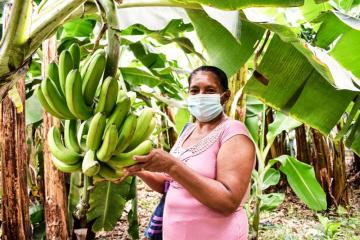 Aprueban la creación del Sello nacional de producción orgánica para mejorar la competitividad del sector en el país