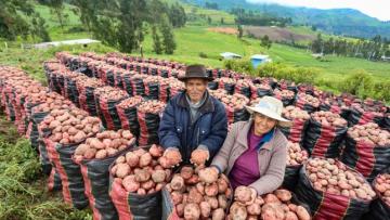 Aprueban otorgamiento de garantía para el FAE Agro