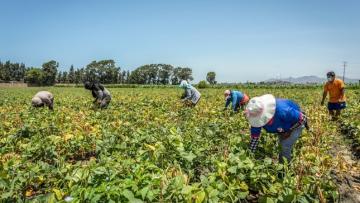 Aprueban reglamento de Ley de Saneamiento Físico-Legal y Formalización de predios rurales