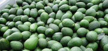 Arequipa, Lima y Junín concentraron el 45.6% de la producción nacional de palta en septiembre de 2020