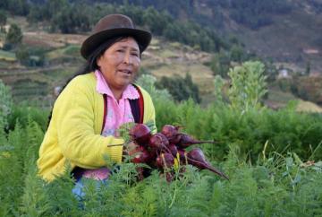 Ayacucho: Minagri entrega a autoridades guía para reducción de degradación de suelos en Huanta y Uchuraccay