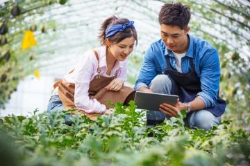 BASF presenta Ceyva®: Innovación en el cultivo de la uva