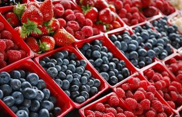 Berries de México participarán en Fruit Logistica 2022 abanderando la 