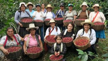 Café Femenino, la marca que llevó a 1.000 caficultoras del nororiente a conquistar el mercado exterior