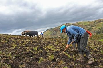 Comisión Agraria del Congreso plantea seguro para la agricultura familiar