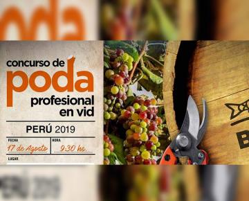 Competencia de Poda Profesional en Vid Bahco Perú