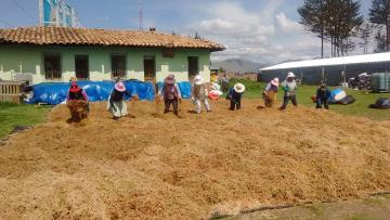 Comprar musgos propicia extracción ilegal y causa deterioro de bosques