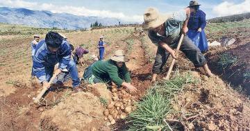 Consejo de Ministros aprobó FAE Agro con fondo por S/ 2.000 millones