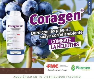 Coragen SC, insecticida eficiente en el control de plagas y selectivo con los insectos benéficos