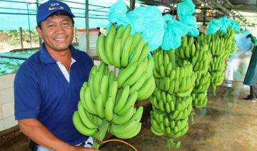 Crean catálogo digital para conectarse con agricultores y comprarles directamente