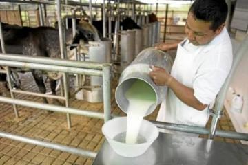 Crean comisión multisectorial para que fortalezca cadena productiva de leche y sus derivados