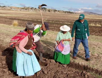 Crean Grupo de trabajo para elaborar la Estrategia de   Fortalecimiento de Capacidades en las direcciones regionales agrarias