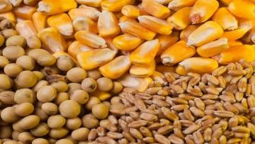 Crecen las importaciones agropecuarias: más de US$ 6 mil millones en 2025