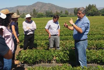 ¿Cuáles son los puestos más cotizados en el ámbito ejecutivo de la agroindustria peruana?