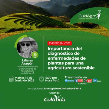 CultiVida organiza webinar 