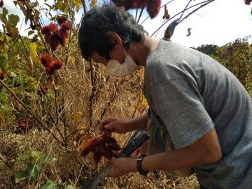 Cusco: agricultores de comunidad matsigenka reciben mascarillas y orientación para combatir el Covid-19