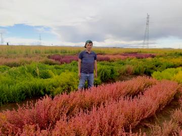 Desarrollan "cañihuarroz", alimento con propiedades nutricionales como alternativa para combatir la desnutrición