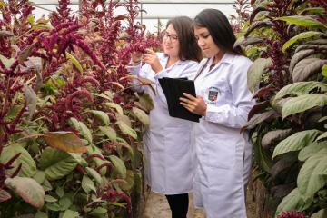 Día de la investigación agropecuaria: Seguridad y soberanía alimentaria