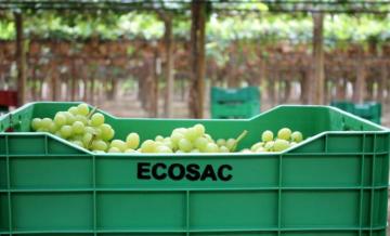 Ecosac recibe crédito por US$ 93.5 millones y expandirá su frontera agrícola