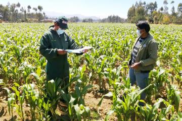 Ejecutivo promulga ley de Extensión Agropecuaria para impulsar productividad y competitividad del campo