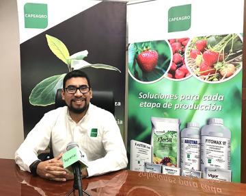 El futuro de la agricultura está en soluciones que ayuden a la planta a defenderse sola de plagas y enfermedades