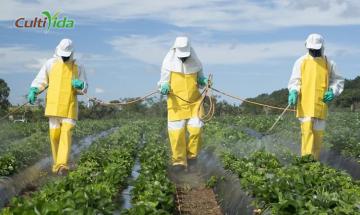 El glifosato no es cancerígeno concluye estudio reciente de la Unión Europea