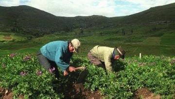 El reto del próximo gobierno que recibirá 2.08 millones de predios rurales sin titulación