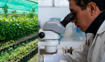 Elementos para potenciar la innovación en el sector agrario