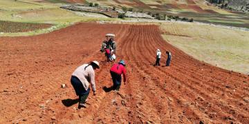 Elevada informalidad y bajo nivel productivo deterioran condiciones de agricultores