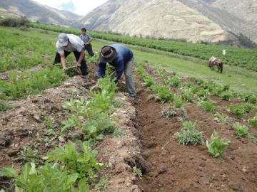 ENTORNO MACROECONOMICO Y AGRICULTURA FAMILIAR EN EL MARCO DE LA CRISIS