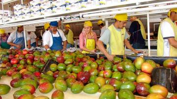 Envíos regionales retrocedieron 9.8% en primer trimestre del año