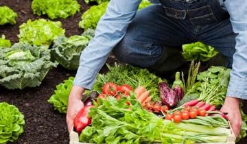 España puede ayudar a impulsar el desarrollo de la producción ecológica en Perú