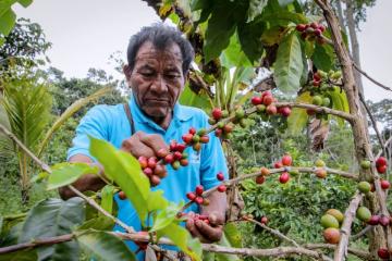 Expo Café 2021 vuelve con 120 marcas procedentes de pequeños agricultores nacionales