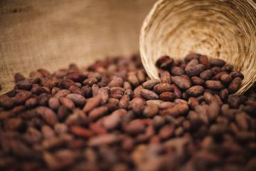 Exportaciones de cacao y derivados crecieron 11% entre enero y octubre de 2019
