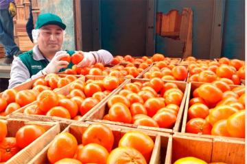 Exportaciones de mandarina crecen 29% en volumen y 32% en valor hasta la quincena de septiembre