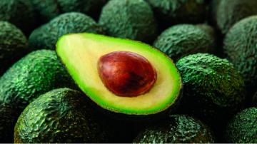 Exportaciones de palta romperían récord en el 2021