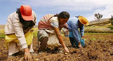 Financiamiento directo: más de 25.000 familias del agro accederán a créditos