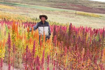 Fondo AgroPerú colocó más de S/ 1.220 millones desde su creación